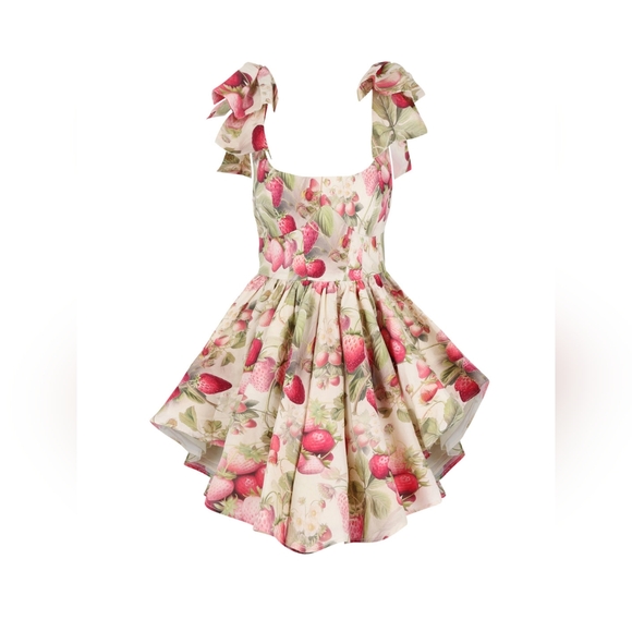 Selkie Dresses & Skirts - Strawberry Cream Farmer's Market Dress NWT Size L